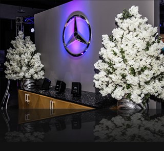 Luxury, Elegance and Perfection - Garage Isla Verde Mercedes Benz